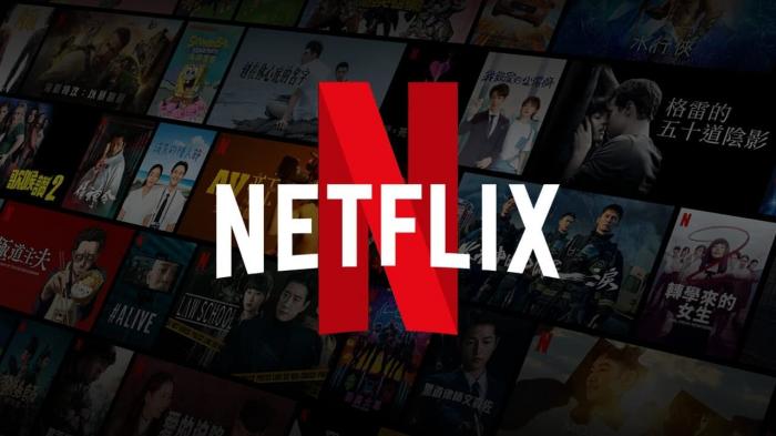 Introduction to downloading movies on Netflix-1