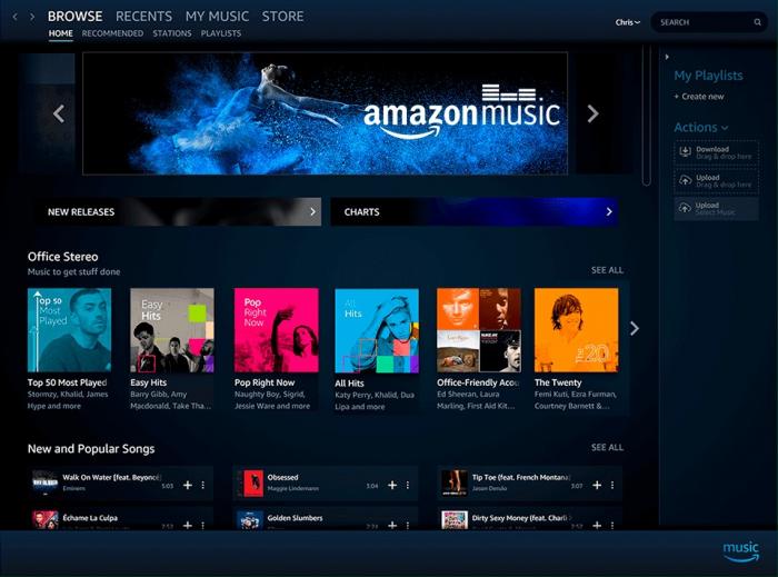 Amazon Music HD-1'de özel çalma listeleri oluşturma